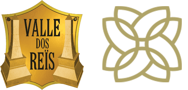 Logo Vale dos Reis